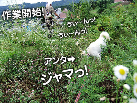 2011080103