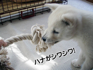 c9551e4e.jpg