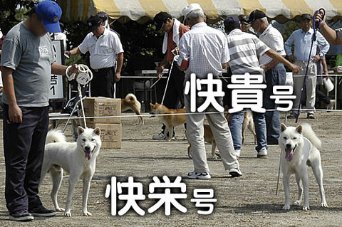 2010091908