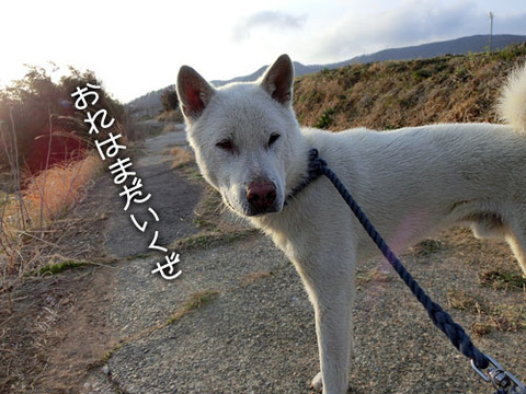 2013040106