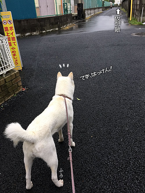 2016042905