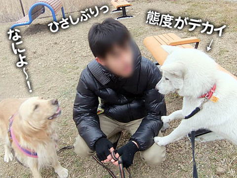 2011020606