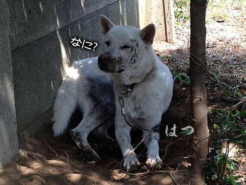 2013081201