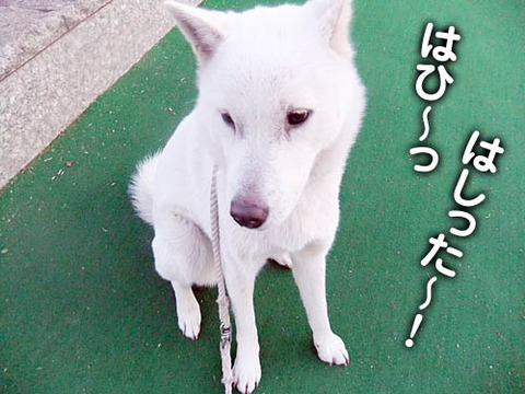 2011012701