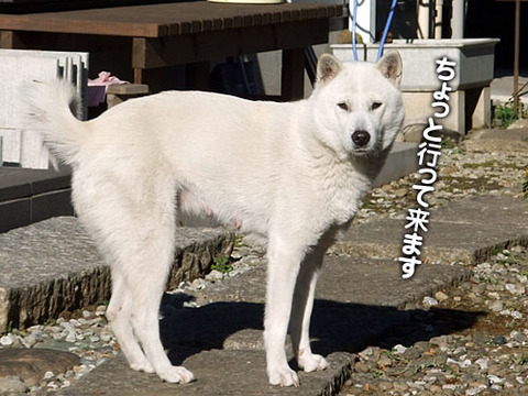 2011122703