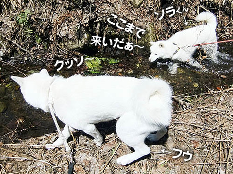 2011041818