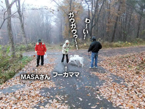 2010111706