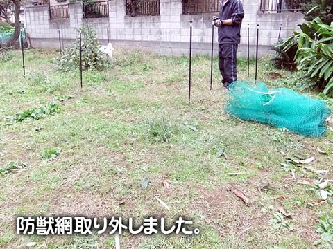 2011103007