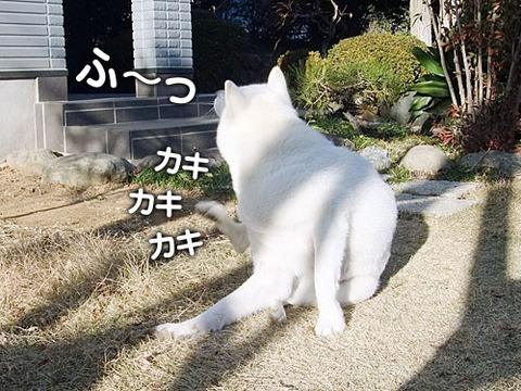 2011122805