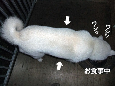 2011120304
