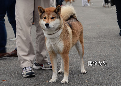 2013111201
