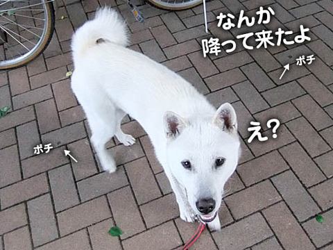 2011051305
