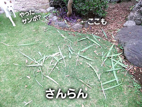 2010102401