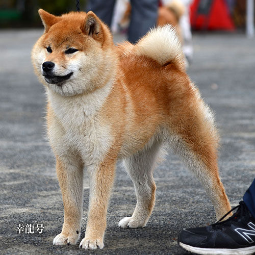 2016042513