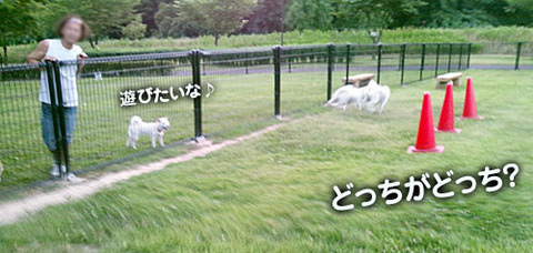 2011071702