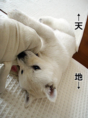 d0aa0047.jpg