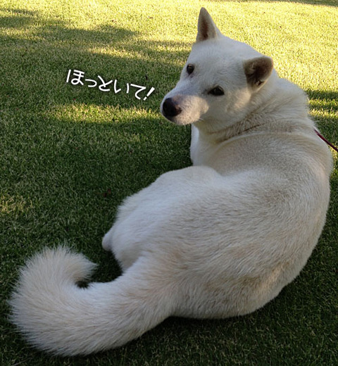2013092515