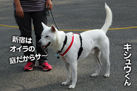 2011100903