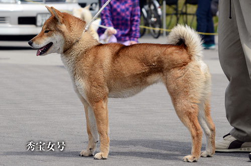 2014041703