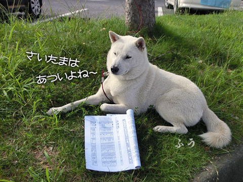 2013093001