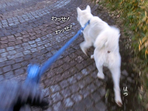 2014121804