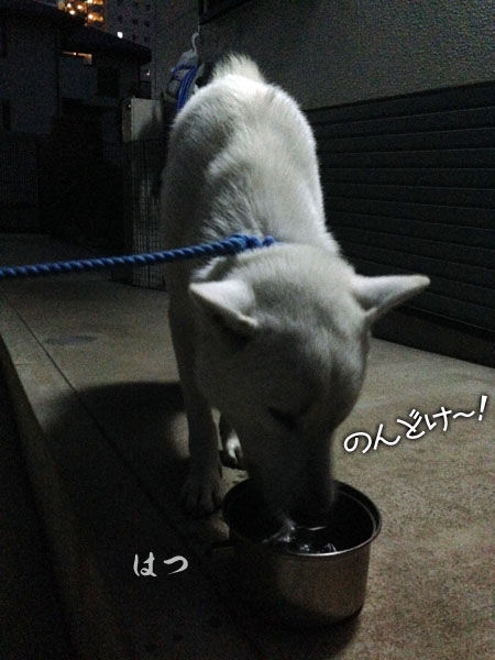 2013102408