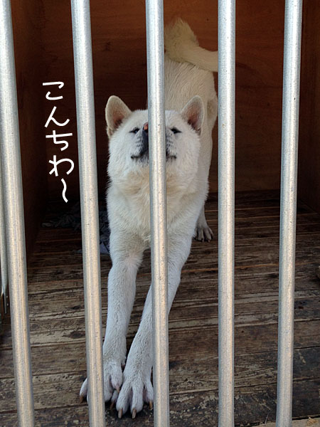 2013042701