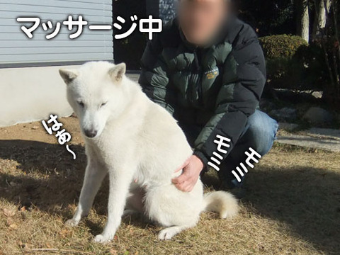 2011122706