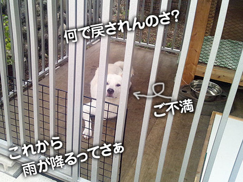 2011082602