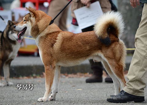 2013111109