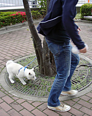 2010042903
