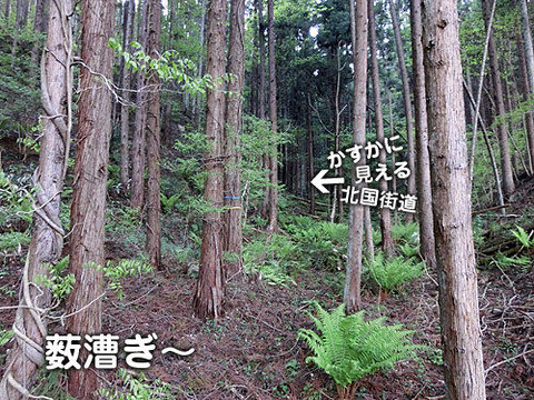 2013051616