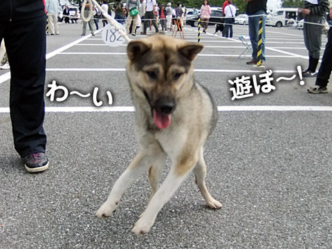 2011092503