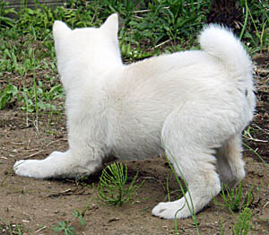 2010042602