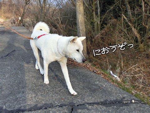 2013040105