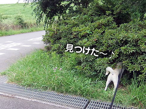 2011072909