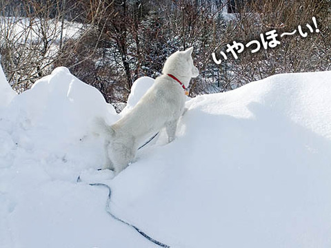 2011011709