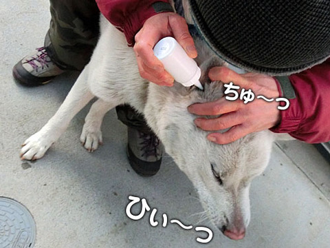 2012122807