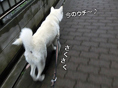 2012112601