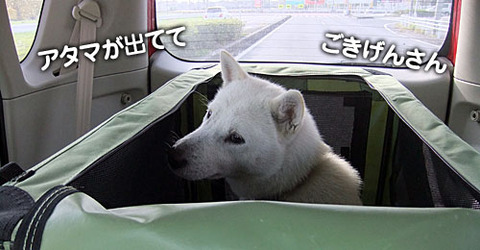 2011112701