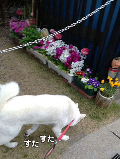 2013041004