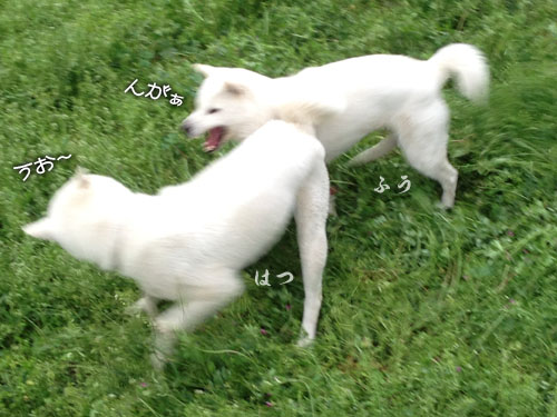 2015041704