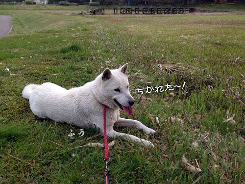 2014042204