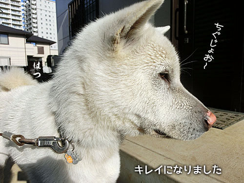 2014032408