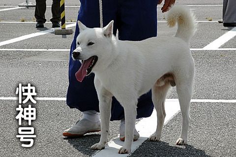 20110925快神