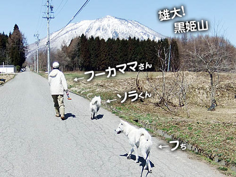 2011041815