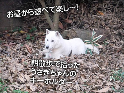 2010122101