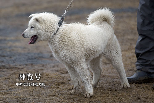 2014030503