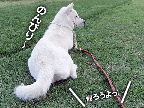2011060710