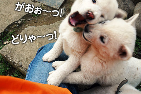 2011112805